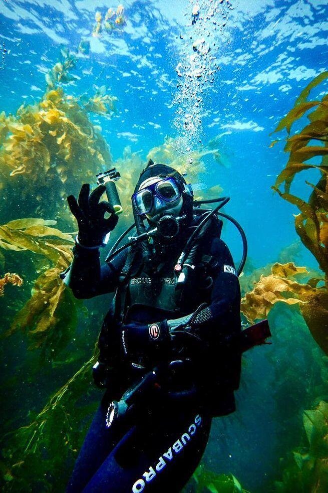 Scuba Diving